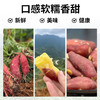 【分销】高山小香薯 2500克/箱 商品缩略图2