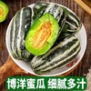 【现摘现发！山东博洋9号甜瓜】饱满脆甜，爽口多汁，脆爽多汁 一口甜到心！61号甜瓜5斤新鲜水果当季羊角蜜大果脆甜香蜜 商品缩略图6