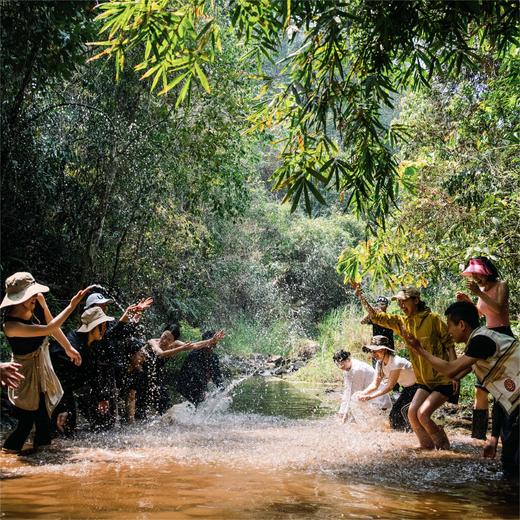 云南 | 版纳基诺山雨林徒步1日游，西双版纳热带雨林/超爽高空秋千/热带神奇动植物/雨林野餐美食/雨林奇观/千年榕树攀爬/基诺民俗文化体验 商品图8