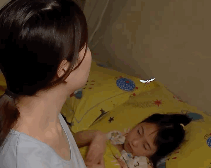  家中有它，千万虫子"连夜出逃"，全屋「空无一虫」！比杀虫剂强10086倍！ 