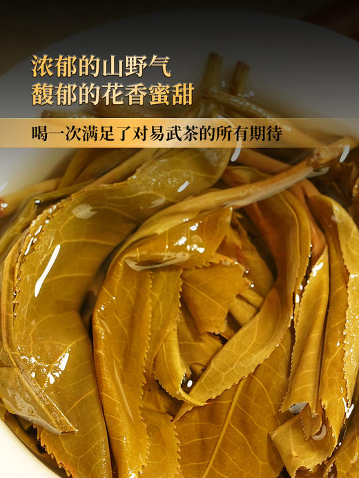 1月22日11点-12点【降价拍】【整提五饼装】【瑶族秘境】全网独一家连续四年全网售罄挑战万元茶的品质茶，一年仅出一款一年仅采一批从不过渡采摘店铺“品质王” 商品图3