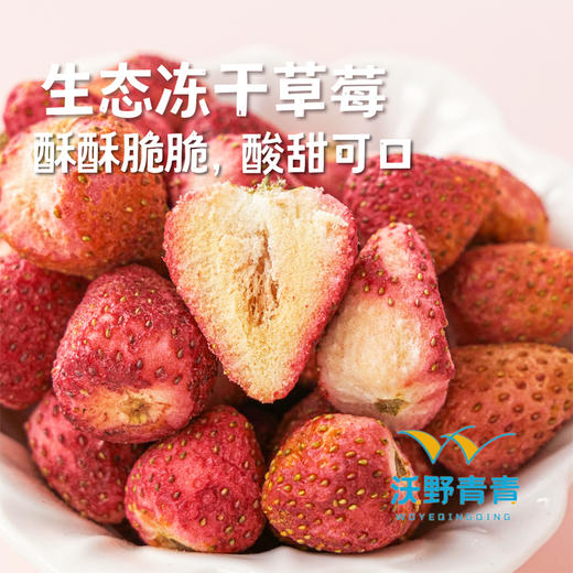 冻干草莓  30g/袋 商品图0