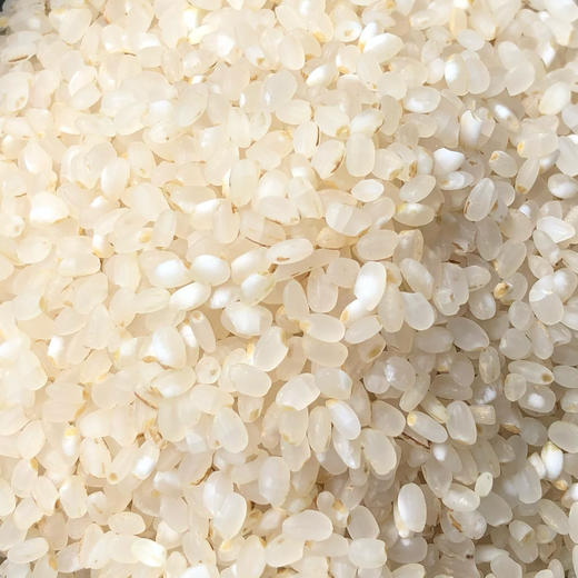 有机胚芽米 商品图2