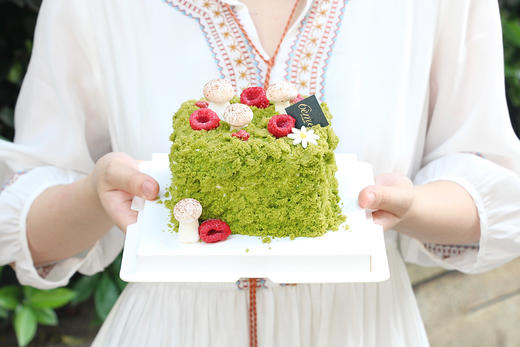 【青苔小蘑菇蛋糕】 商品图1