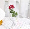 新品透明英文单支袋 商品缩略图5