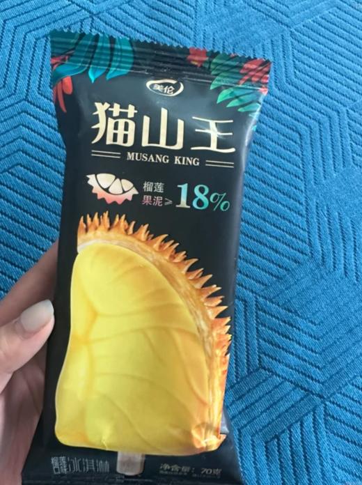 美伦猫山王榴莲雪糕70g 商品图0