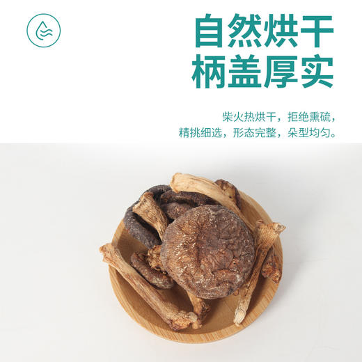 钱江源·赤松茸干 自然生长 拒绝添加 营养丰富 商品图2