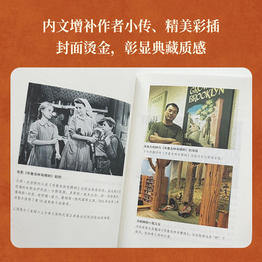布鲁克林有棵树 商品图4