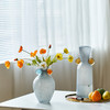 厂家直销创意高级灰彩色双耳玻璃花瓶酒店软装家居台面装饰艺术瓶 商品缩略图13
