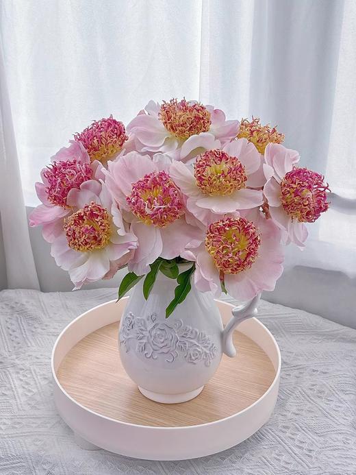 精品稀有小众芍药花窃窃私语5支 商品图2