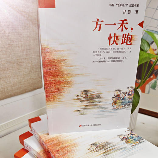 《方一禾，快跑》 商品图1