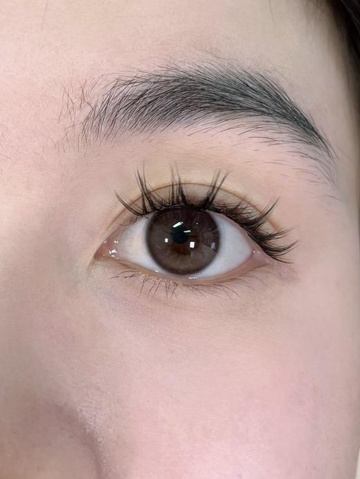 Allecon半年抛·燕麦贝果·14.2mm中等直径·韩产2片 商品图8