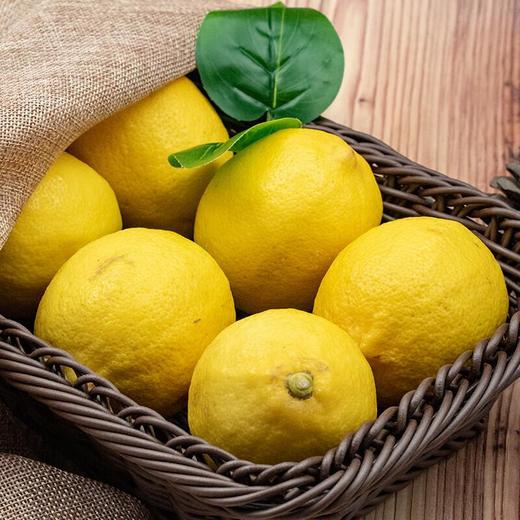 柠檬  5个 商品图2