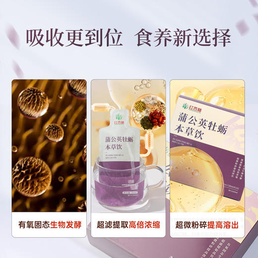 蒲公英牡蛎本草饮300ml  守护双腺 疏通“小疙瘩” 吉亚宁老师研发配方，更适合现代人复杂体质 商品图3