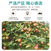 钱江源·山茶油自然健康 匠心酿造 商品缩略图1