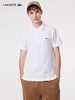 【9.5折】5楼法国鳄鱼POLO PH6348-98 吊牌价1190 活动价1131 商品缩略图7