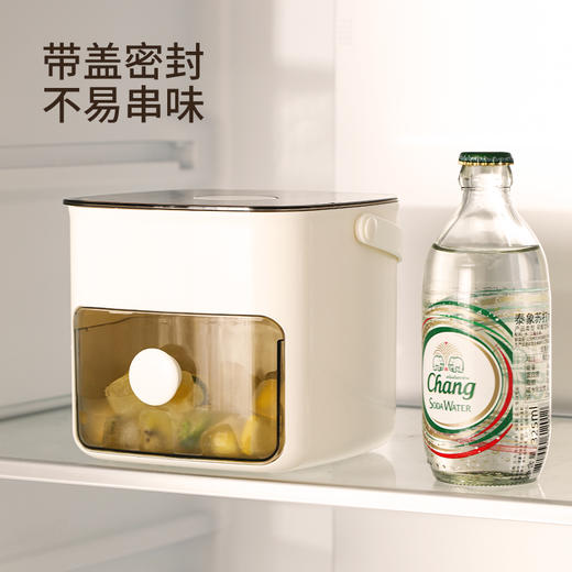 FaSoLa冰格模具按压式双层储冰盒带盖食品级家用冰箱自制冰块神器 商品图4