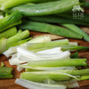 生态大葱（赠送艾草皂一块） | 合作生产*Ecological Scallion | Partner Production 商品缩略图1