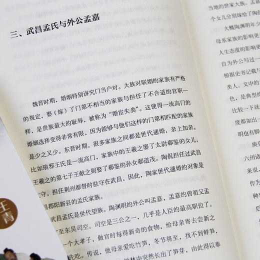 陶渊明传 商品图4