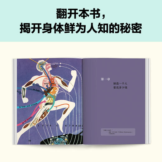 人体简史 全彩插图版 商品图4
