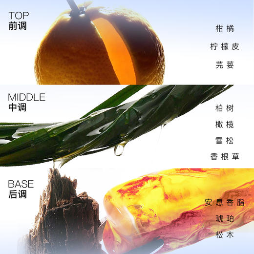 【洗浴场】vzv木质香男士香水【白日梦我】 商品图6