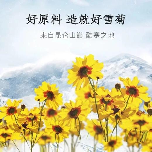 新疆西域印象 昆仑雪菊礼袋装 商品图3