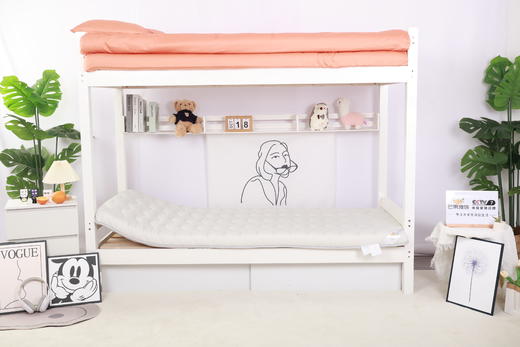 高级床垫 商品图0