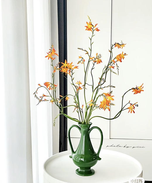 【热烈的情感】火焰兰 约10支/扎 商品图0