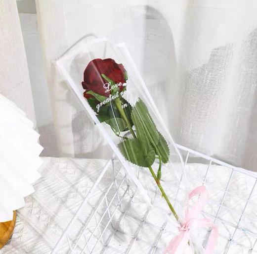 新品透明英文单支袋 商品图3