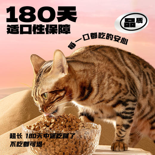 心选丨喵铮铮大腮帮全价烘焙猫粮 2斤/包 猫咪鲜肉营养主粮 商品图3