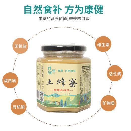 钱江源·土蜂蜜 色泽鲜润 口感脆嫩 商品图2