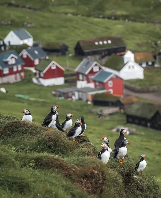 【2026】法罗群岛--遗留在世间的仙境，北大西洋秘境10天摄影团 商品图5