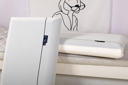 记忆棉枕头 商品图3