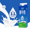 君乐宝鲜牛奶950ml 商品缩略图0