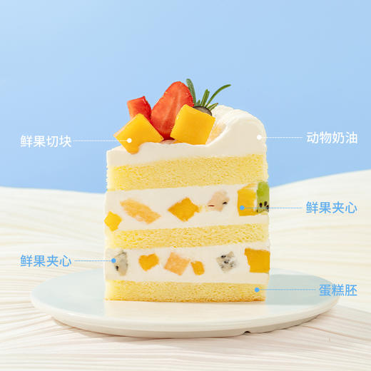 【幸福满满】儿童长辈都推荐的爆款生日蛋糕，多种水果铺满顶层，3层鲜美果肉，动物奶油，营养美味。（YJ） 商品图1