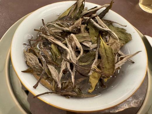 十年陈   老牡丹   毫香蜜韵  50克起 （2014年） 商品图12