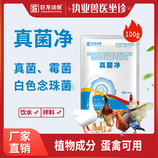 【真菌净】鸡鸭鹅鸽禽用去霉菌真菌白色念珠菌输卵管炎纯植物提取无药残留100g/袋 商品图0