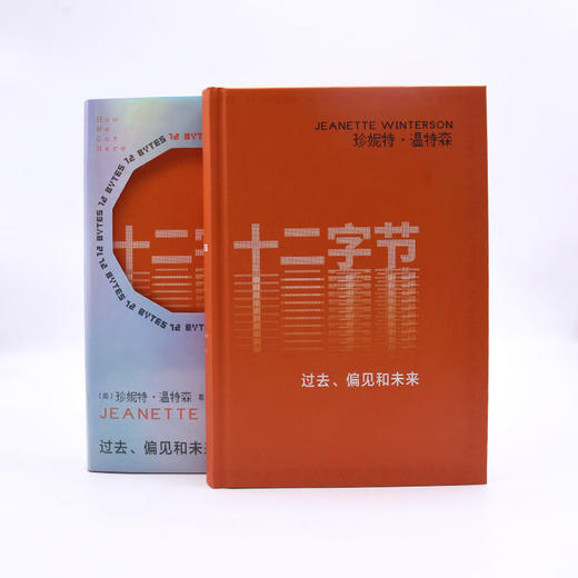 十二字节 过去、偏见和未来 商品图2