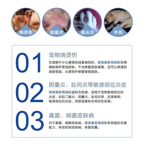 【院线同款抗菌】弗尔莱葆活性银离子抗菌凝胶皮肤病抑菌喷雾指尖炎绝育软膏2026/4 商品图2