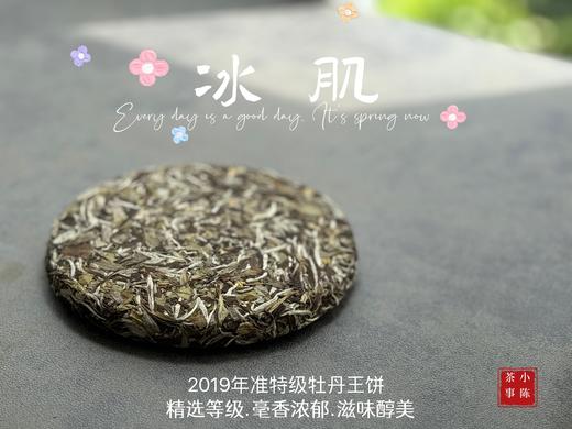 【村姑陈重磅推荐】2019高山白牡丹饼《冰肌》，准牡丹王外形，白牡丹的价格！ 商品图3