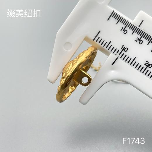 F1743 商品图5