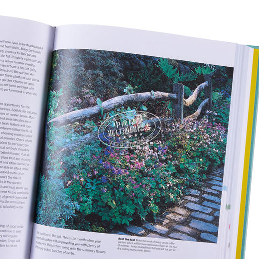 【中商原版】一年四季园艺指南 每月计划 指导和灵感 Gardening Through the Year 英文原版 Spence Ian 商品图3