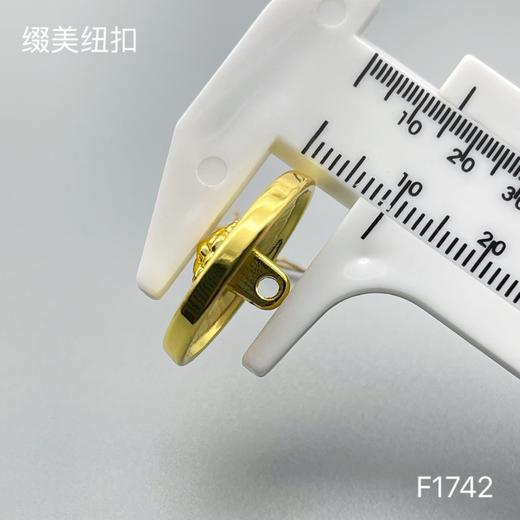 F1742 商品图6