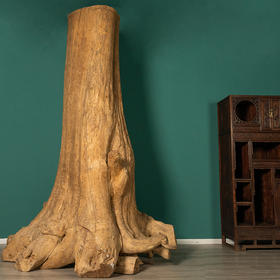 海南野生沉香木整株（内结沉香）