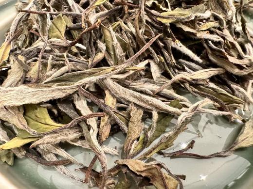 十年陈   老牡丹   毫香蜜韵  50克起 （2014年） 商品图6