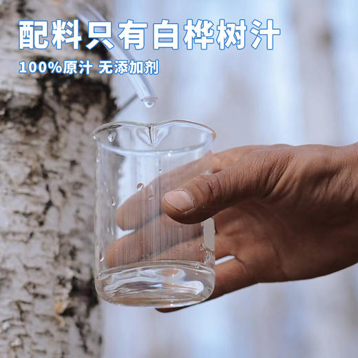 林野小铺 天然森林植物水  天然桦树汁 2.5L 商品图1