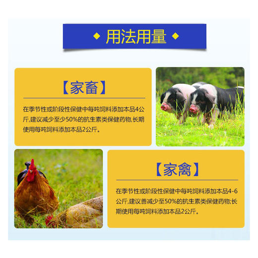【防御素】巨龙和仕康加强型抗囊膜病毒 免疫活性多肽1公斤 商品图4