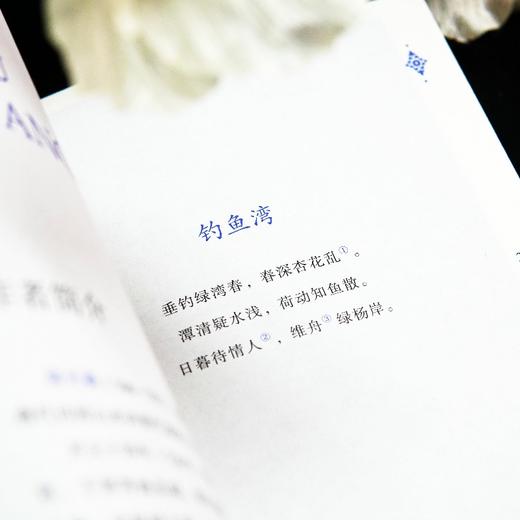 《只此唐诗 许渊冲英译唯美唐诗》《只此宋词 许渊冲英译唯美宋词》 商品图8