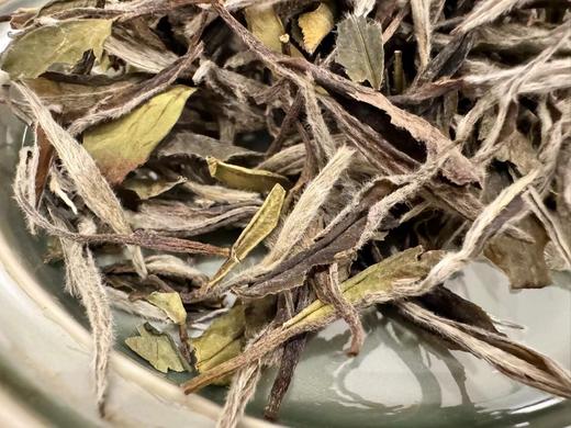 十年陈   老牡丹   毫香蜜韵  50克起 （2014年） 商品图4