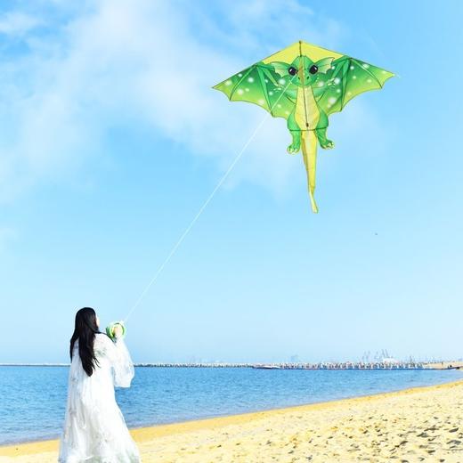 【初学者专用微风易飞，永健风筝三角】潍坊风筝永健风筝，不止颜值出色性能，三角儿童卡通恐龙风筝好飞易飞摆摊多种颜色QQ 商品图0